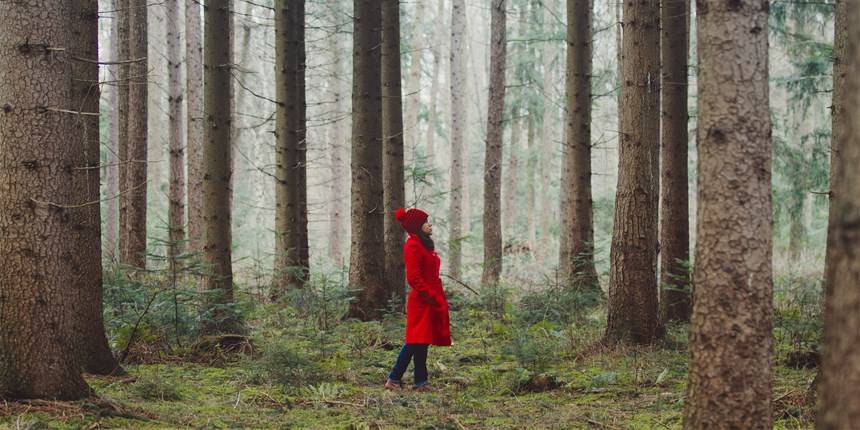 170421-red-coat-forest-better-ew-144p_bbc082e6b53fc876f4f33178f2454268.focal-860×430